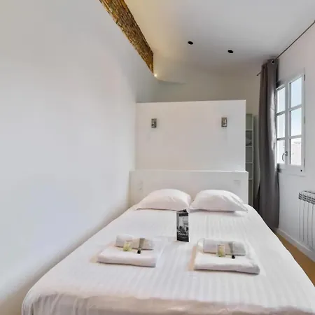 Magnifique Place Du Capitole Apartment